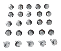 Skruvsats framskärm 5/16x18x15/16" FORD logo Zinc