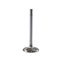 Insugsventil B20 d=46 mm High Performance