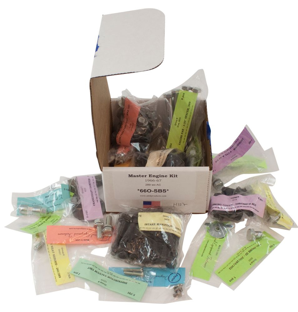 Skruvsats Motor 66-67 289 ej AC