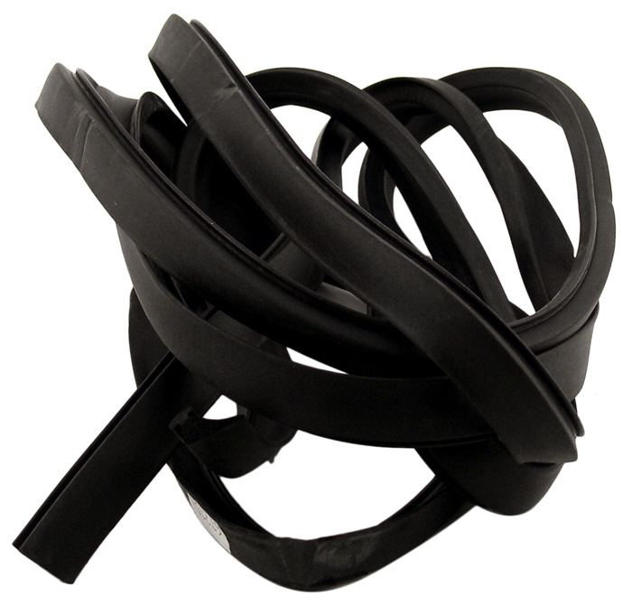 Gummilist Dörr Amazon B18/B20 Vä