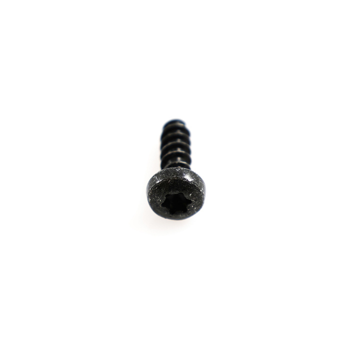 Skruv torx 5,0mm (16mm lång)