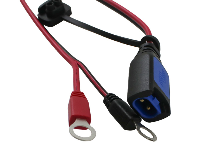 Batteriladdare Victron Blue Smart IP65s laddare 12/5